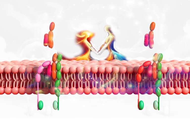 Autoimmune Disease Landscape: IL-12/IL-23 Biological Functions and Evolving Targeted Therapies